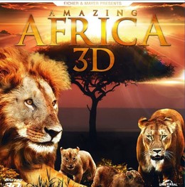 Amazing Africa 2013