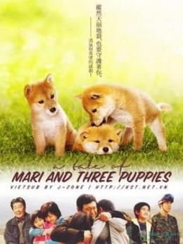 A Tale Of Mari And Three Puppies