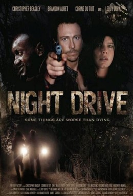 Night Drive 2010