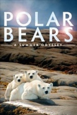 Polar Bears: A Summer Odyssey 2012