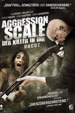 The Aggression Scale
