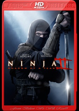 Ninja: Shadow Of A Tear 2013