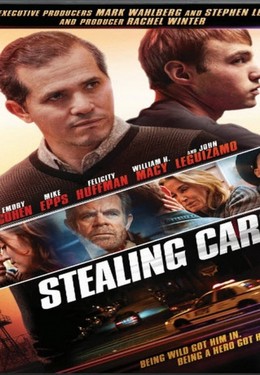 Stealing Cars 2015