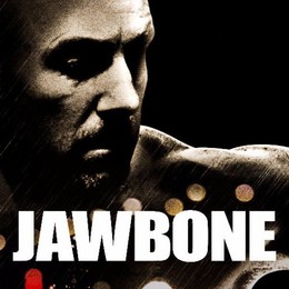 Jawbone 2017