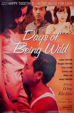Days of Being Wild 1990