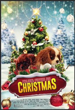 Project: Puppies for Christmas 2019
