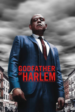 Godfather of Harlem Season 1