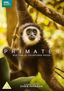 Primates 2020