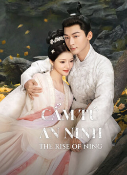 The Rise of Ning