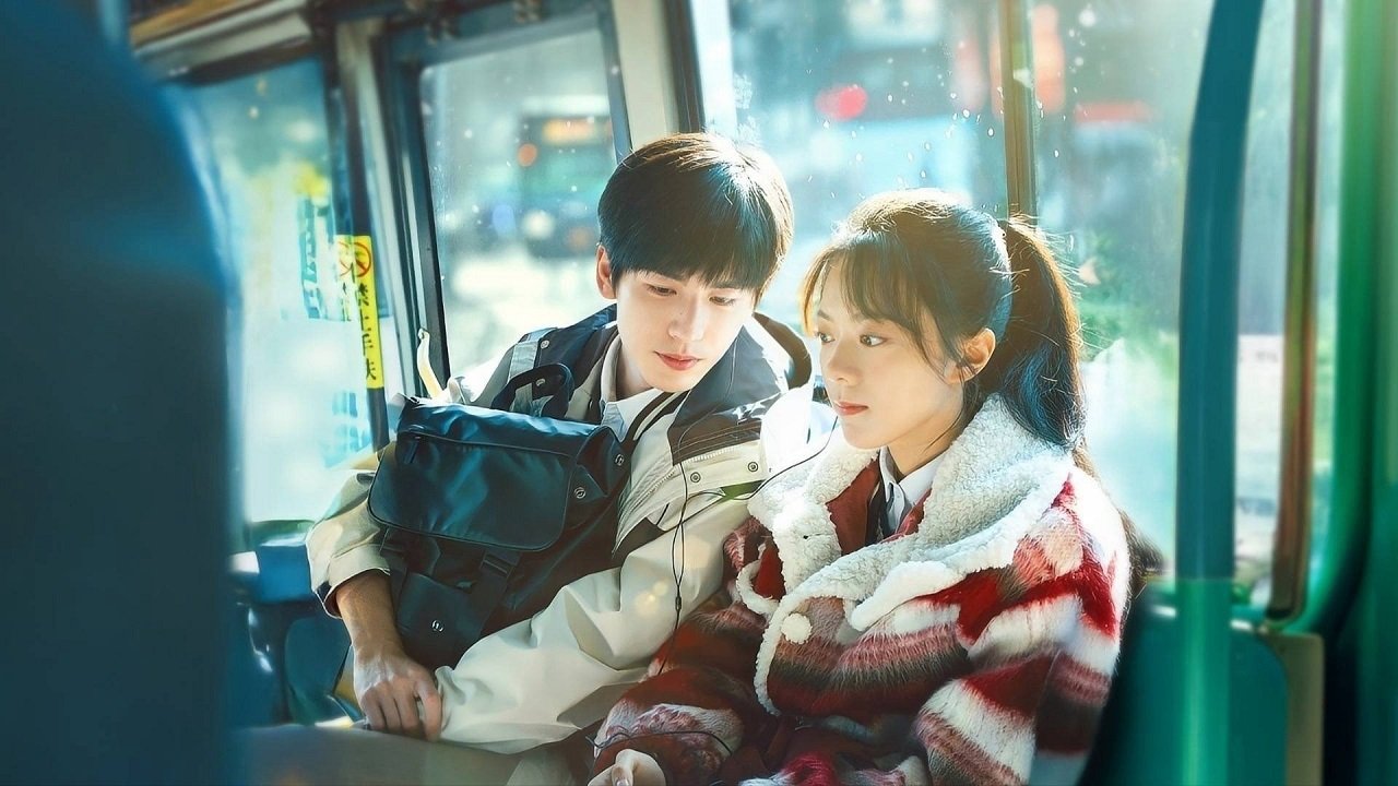 Anh Đào Hổ Phách Anh Đào Hổ Phách